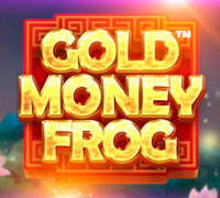 Gold Money Frog Gold Money Frog